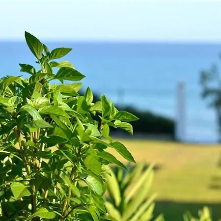 Beachfront Detached On A 